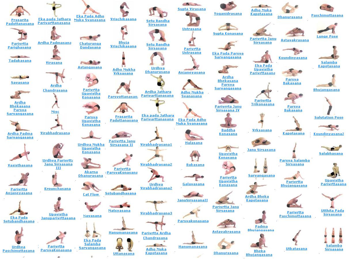 poses   Yoga poses Sanskrit â˜¼  Yoga yoga Pinterest names. their  â˜¼  and sanskrit and